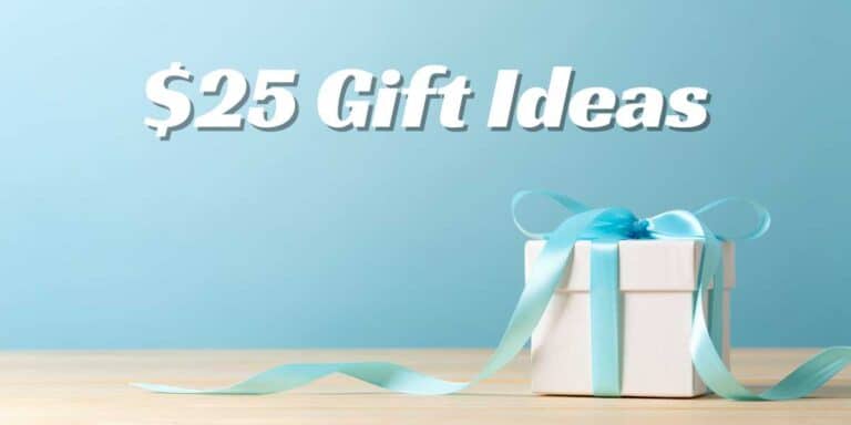 $25 Gift Ideas