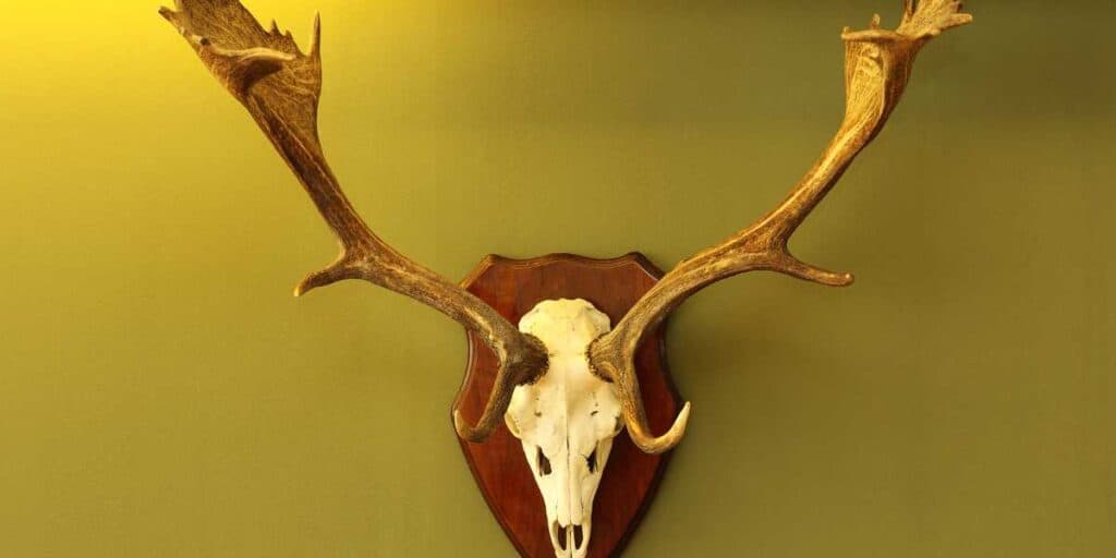 Personalized Hunting Mementos
