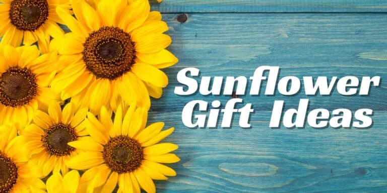 Sunflower Gift Ideas
