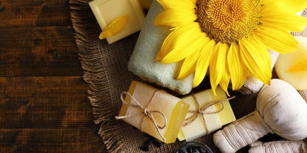 Tips for Gifting Sunflower Presents